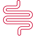 Tratamiento de enfermedades intestinales en la Clínica de Nutrición Vicenta Quirós en Úbeda ( Jaén )